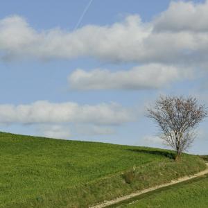 Italy. Basilicata & Campania. Dropouts and rediscovered