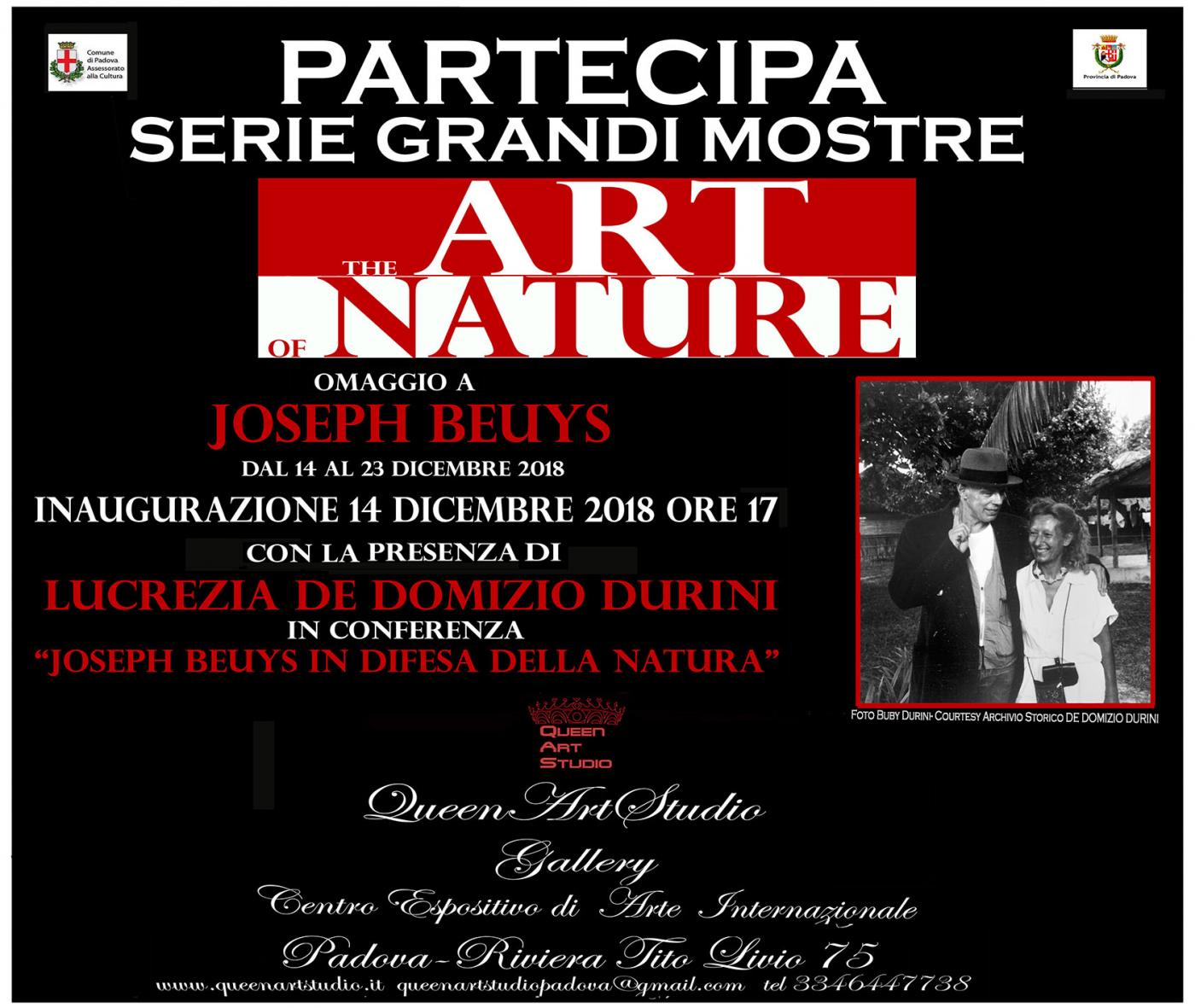 EXPO INTERNAZIONALE DI ARTI VISIVE ' THE ART OF NATURE -OMAGGIO A J.BEUYS'