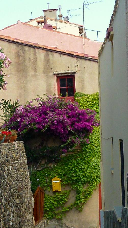 La boite aux lettres jaune de Collioure