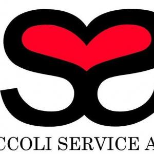 NICCOLI SERVICE ART - Annamaria Niccoli