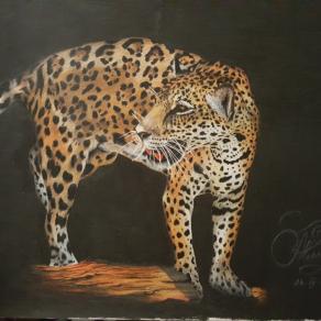 Leopardo 