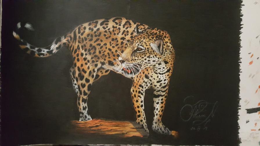 Leopardo 