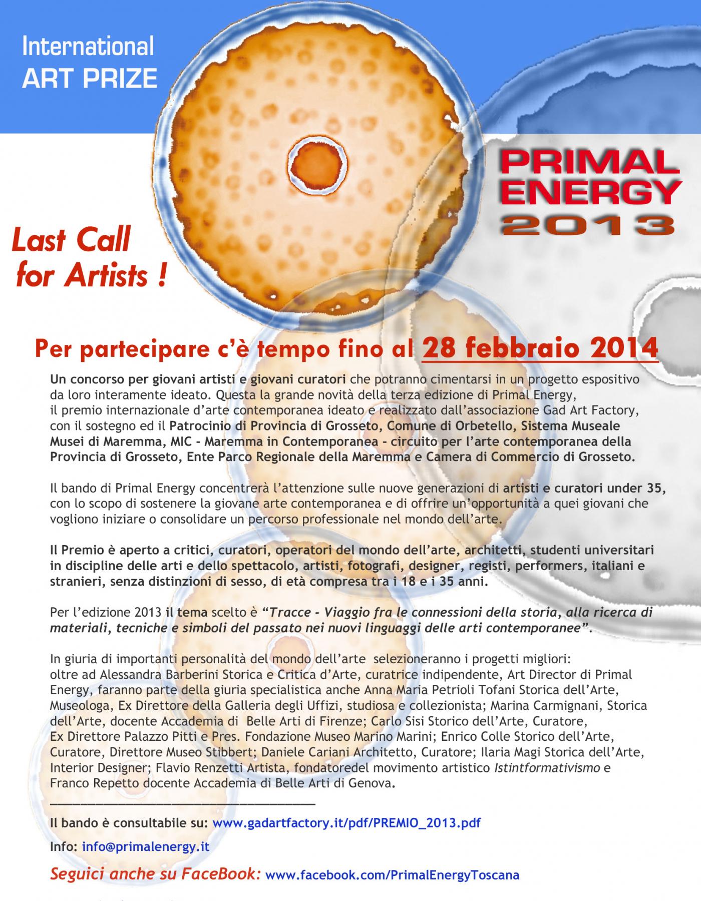 Primal Energy International Art Prize 2013/14