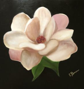 MAGNOLIA