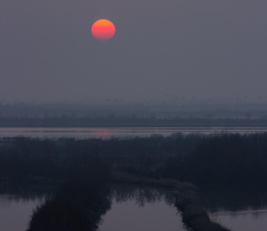 Sun in the lagoon