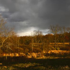 Fall Landscape II. Red Hook, NY