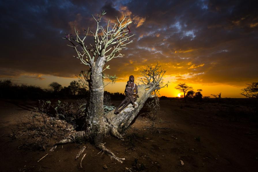 The Arms of Nature