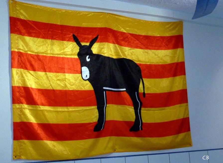 El burro català