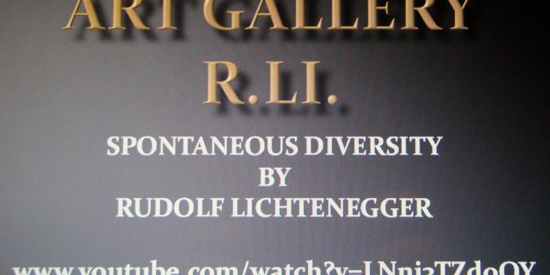 Art GALLERY R. Li Spontaneous Diversity by Rudolf Lichtenegger