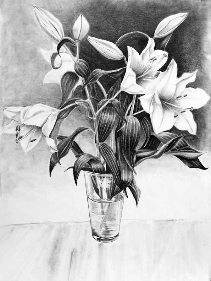 Lillies study