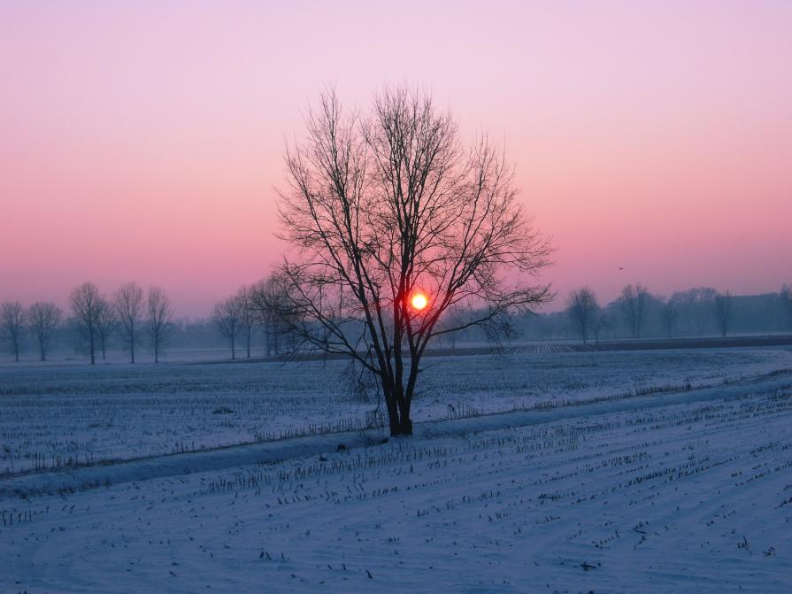 February evening sky