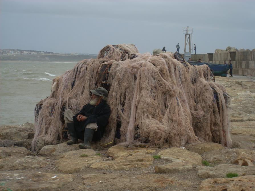 Il vecchio e il mare