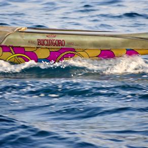 Decorations of Outrigger - OC6 - VAA - Polynesian canoe - Detail