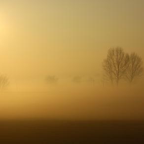 NEBBIA