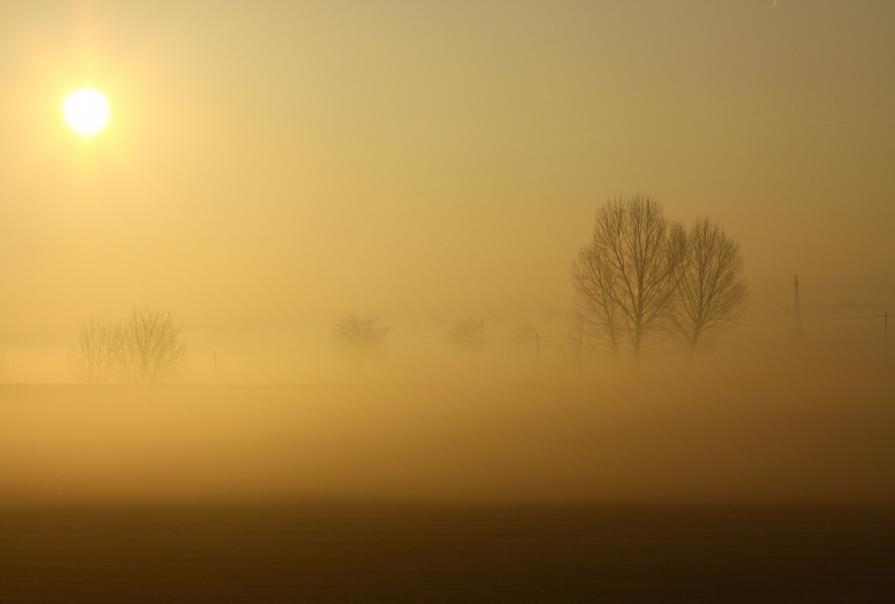 NEBBIA