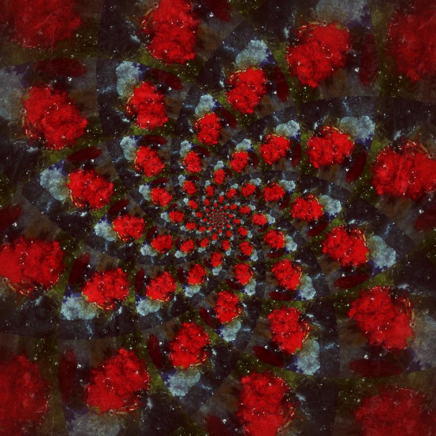 Vortex flowers