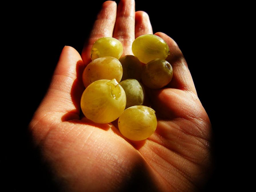 Grapes