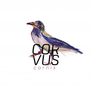 Corvus