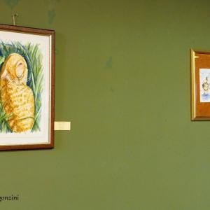 ART ANIMALIER AL CLUB LA MERIDIANA DI MODENA 