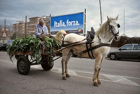 "Italia, Forza"