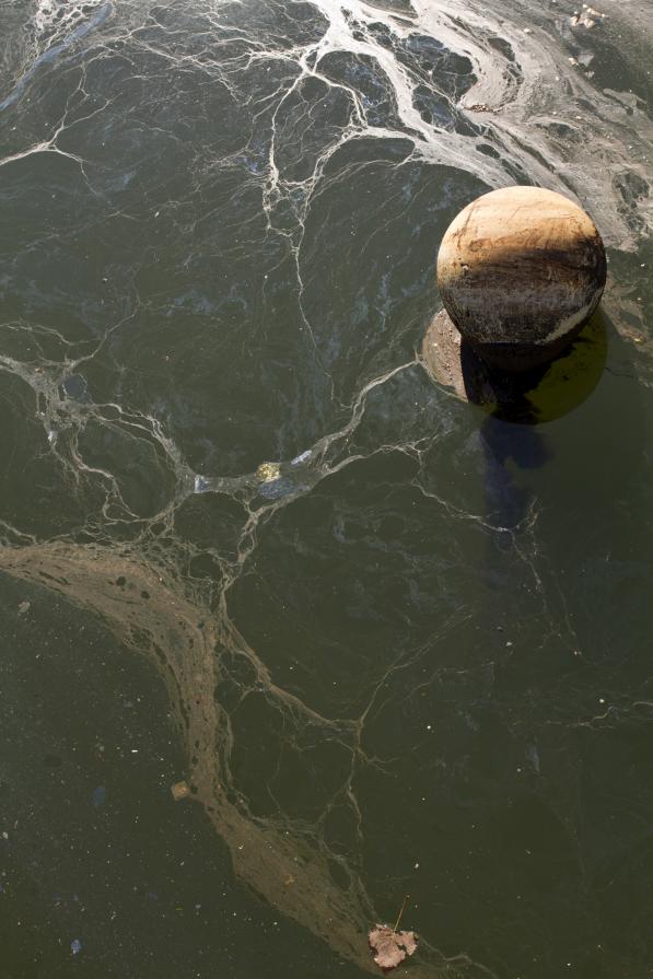 Untitled (Gowanus Canal)