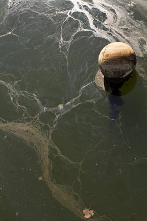 Untitled (Gowanus Canal)