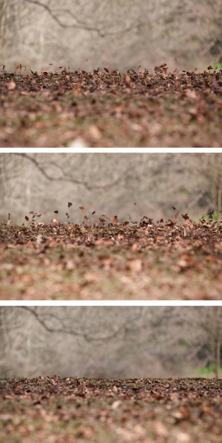 FLOW / Gust Triptych