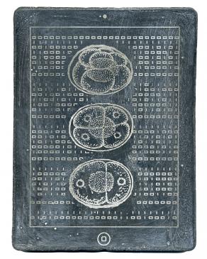 CODEX (Ovum)