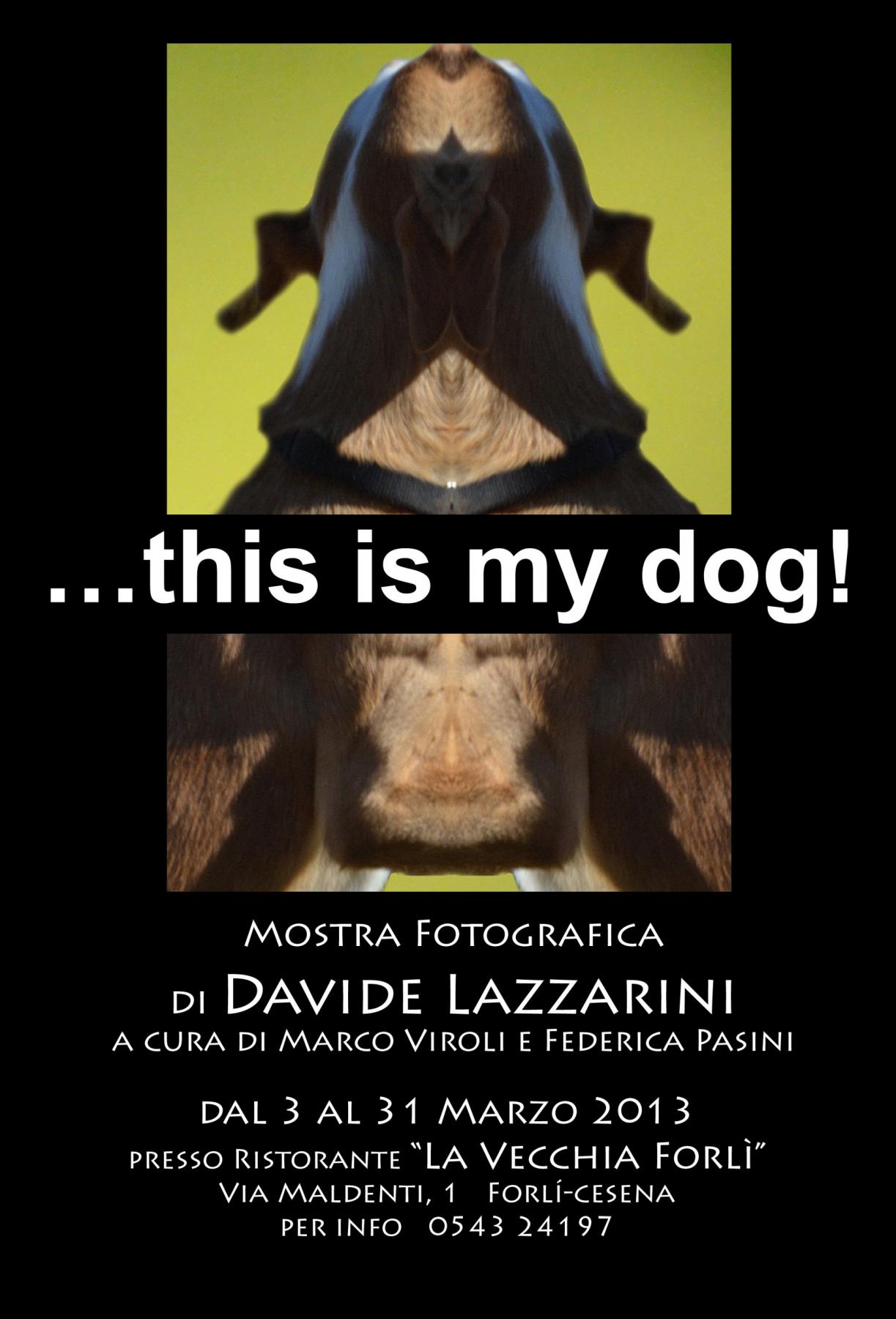 ...this is my dog! Mostra fotografica Personale di Davide Lazzarini