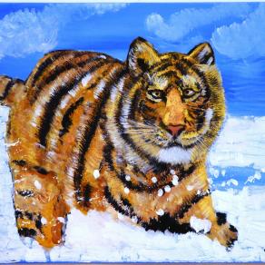 Amur Tiger