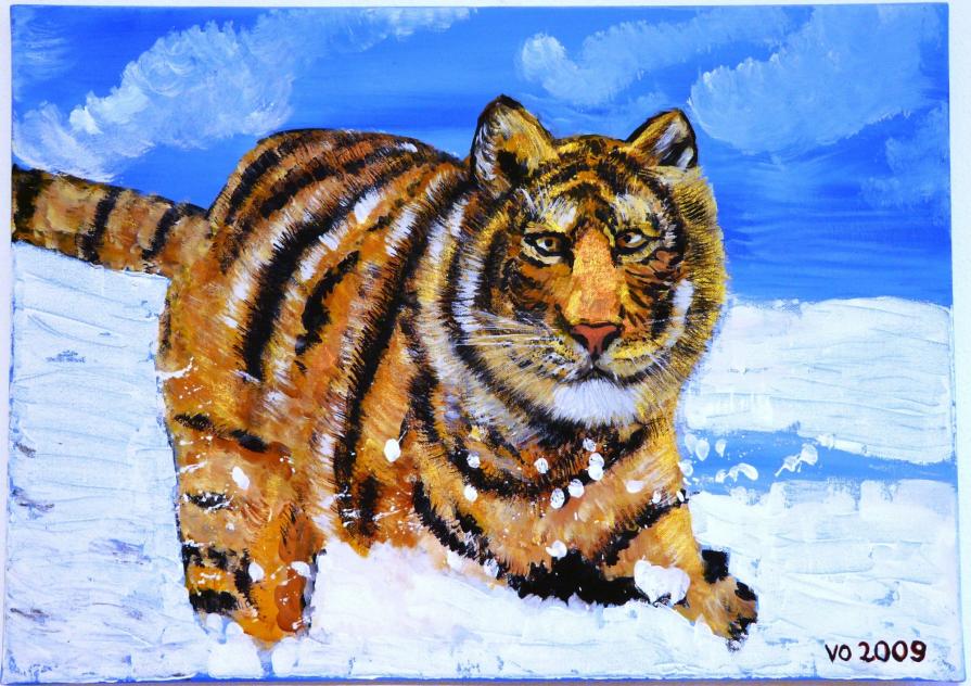 Amur Tiger