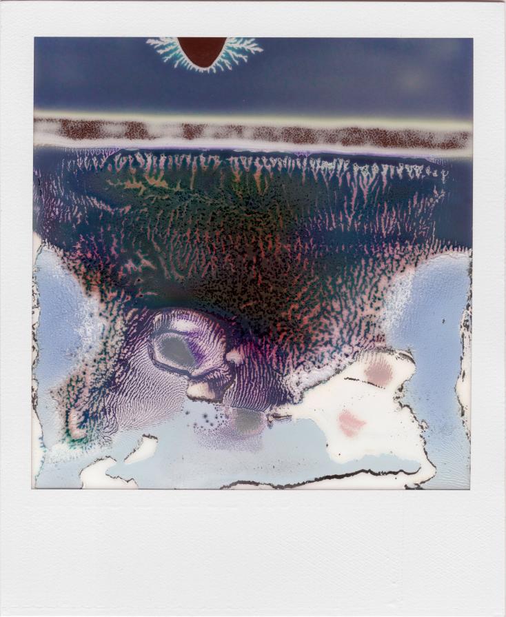 Ruined Polaroid #14