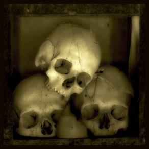 SKULLS 7 - Augusto De Luca photographer