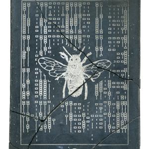 CODEX (bee)