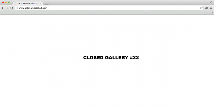 CLOSED GALLERY #22 (Galeria Felicia Hall)