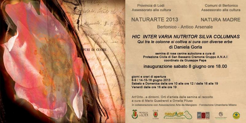 Naturarte 2013