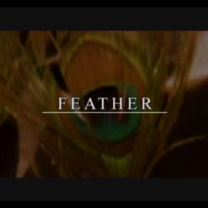 Feather