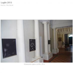 Mostra 2013