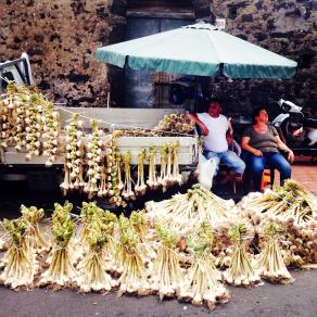 Festa di sant'alfio (genere umano)