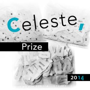 Finale Celeste Prize 2014 ad ASSAB-ONE