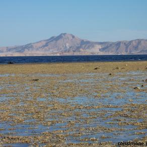 ISOLA DI TIRAN