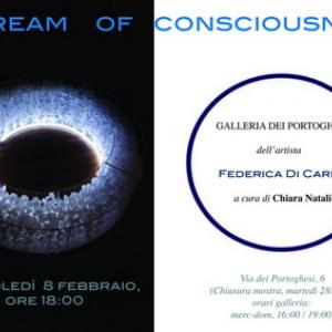 Federica Di Carlo_ Stream of consciousness