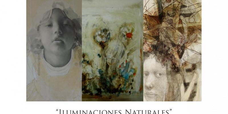 Art exhibition " Naturalas Illuminations"