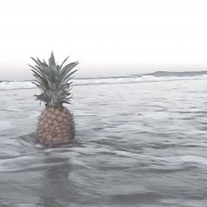 Pineapples for Piscina (video still)