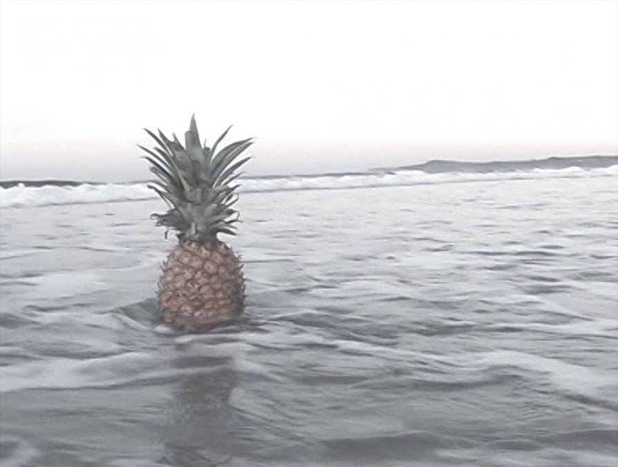 Pineapples for Piscina (video still)