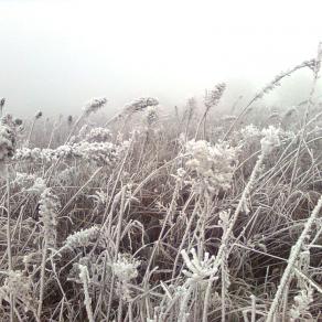 chissà se tornerà il freddo dell'anno passato