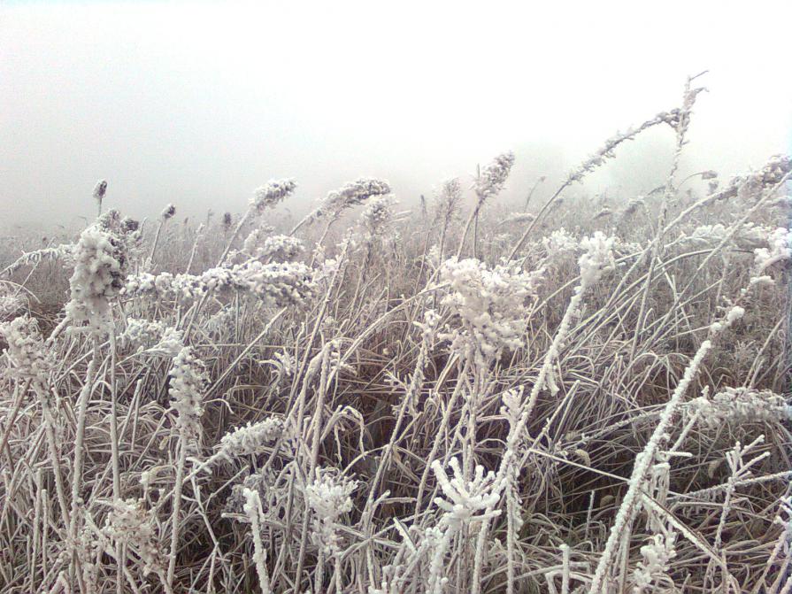 chissà se tornerà il freddo dell'anno passato