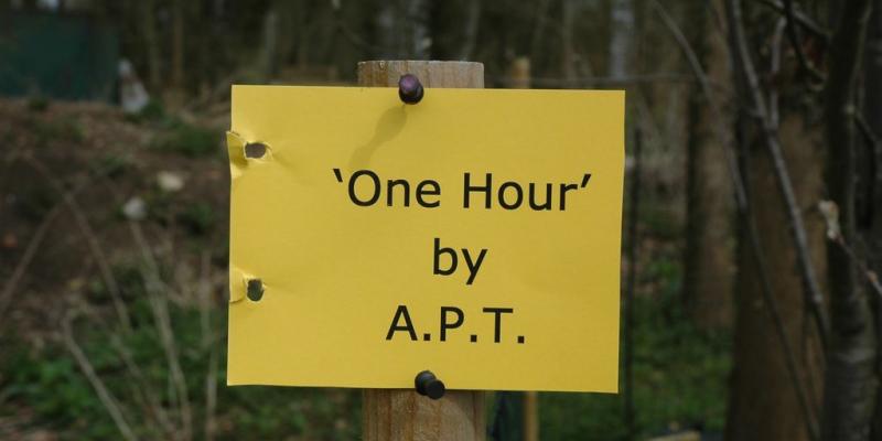 'One Hour' Transsensorial explorations of a place in time. A group exhibition (artists collectively known as A.P.T.) 