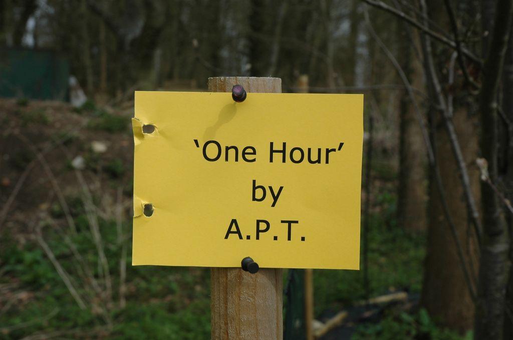 'One Hour' Transsensorial explorations of a place in time. A group exhibition (artists collectively known as A.P.T.) 