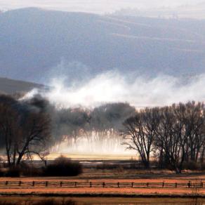 Morning Mountain Mist 